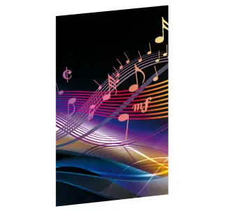 DVD-Einleger (BedruckungPreise)