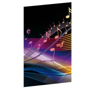 DVD-Einleger (BedruckungPreise)